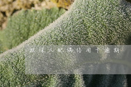 担保人配偶信用卡逾期 担保人配偶信用卡逾期