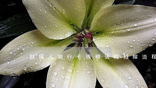 担保人银行卡钱被法院扣除流程 担保人银行卡钱被法院扣除流程