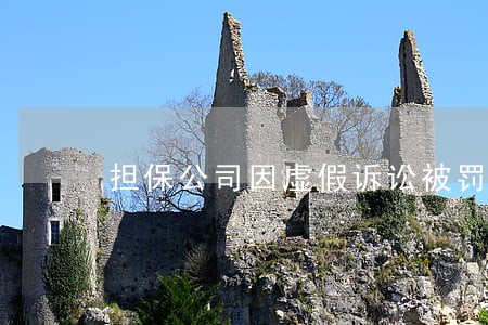 担保公司因虚假诉讼被罚20万元 担保公司因虚假诉讼被罚20万元