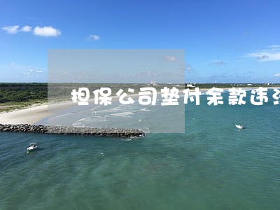 担保公司垫付余款违法吗
