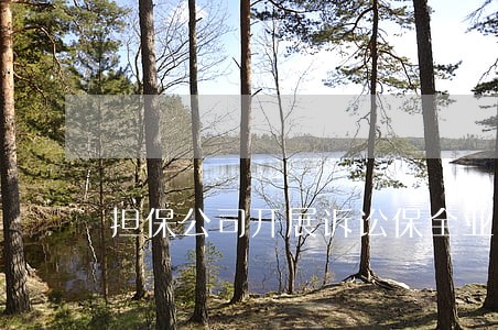 担保公司开展诉讼保全业务 担保公司开展诉讼保全业务
