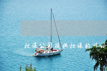 担保公司提供担保的诉讼保全 担保公司提供担保的诉讼保全