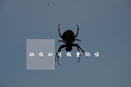 担保公司收费标准 担保公司收费标准