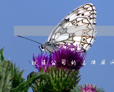 担保公司的法律顾问 担保公司的法律顾问