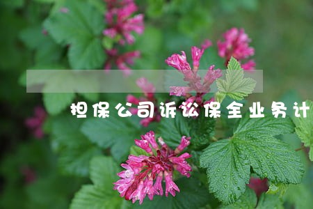 担保公司诉讼保全业务计划