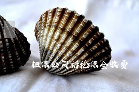 担保公司诉讼保全收费 担保公司诉讼保全收费