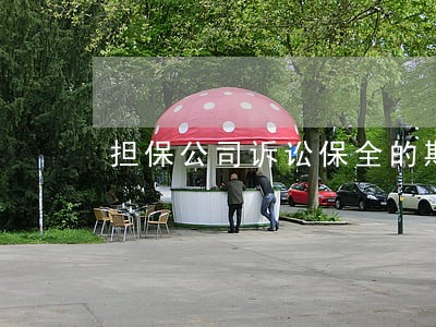 担保公司诉讼保全的期限 担保公司诉讼保全的期限