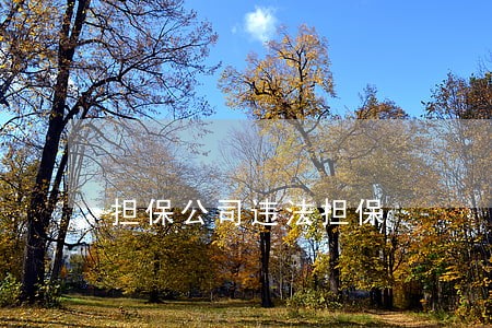 担保公司违法担保 担保公司违法担保