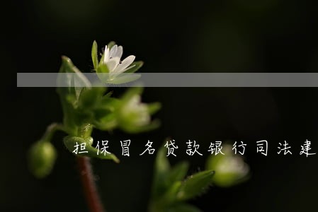 担保冒名贷款银行司法建议 担保冒名贷款银行司法建议