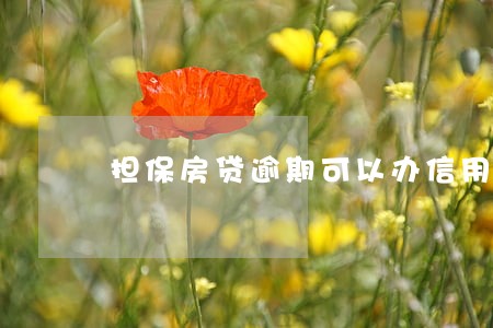 担保房贷逾期可以办信用卡吗 担保房贷逾期可以办信用卡吗