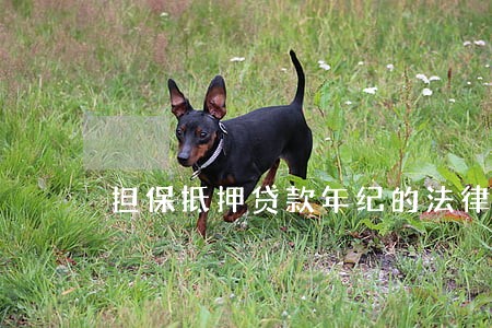 担保抵押贷款年纪的法律条文