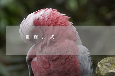担保方式