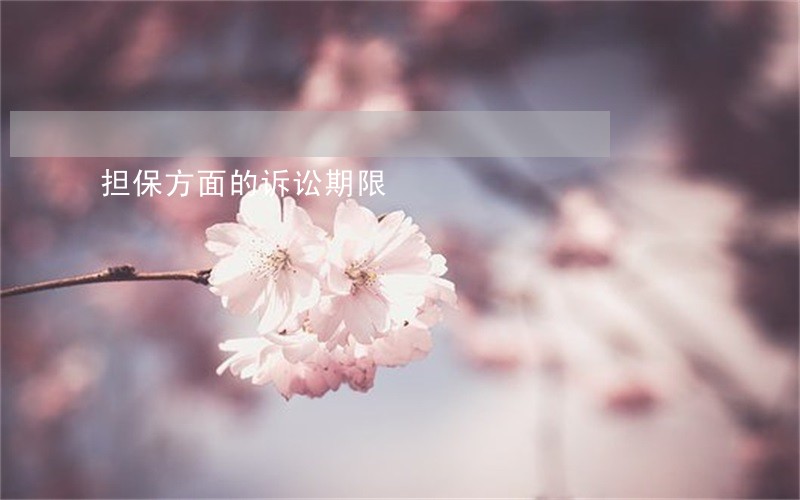 担保方面的诉讼期限 担保方面的诉讼期限