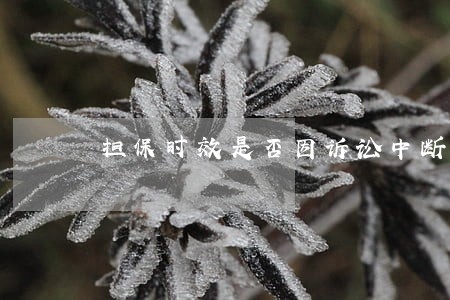 担保时效是否因诉讼中断 担保时效是否因诉讼中断