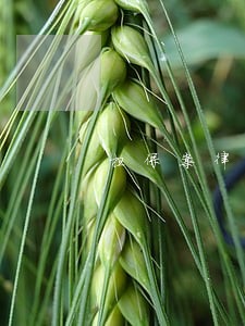 担保案律师电话免费咨询 担保案律师电话免费咨询
