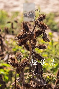 担保法司法解释三十二条规定 担保法司法解释三十二条规定