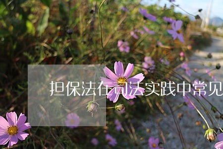 担保法在司法实践中常见问题 担保法在司法实践中常见问题