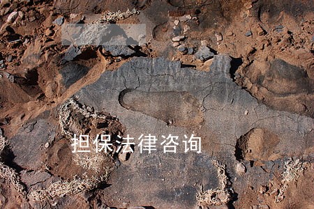 担保法律咨询 担保法律咨询