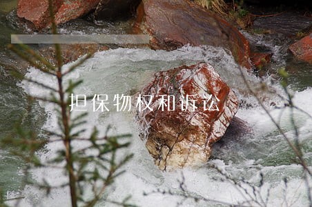 担保物权和诉讼 担保物权和诉讼