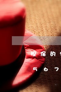 担保的特征经济法/2023021543567