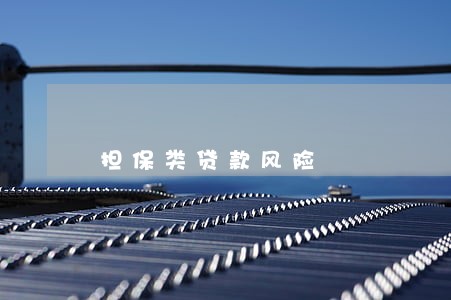 担保类贷款风险 担保类贷款风险