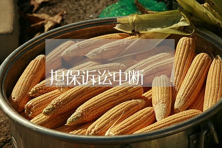 担保诉讼中断 担保诉讼中断