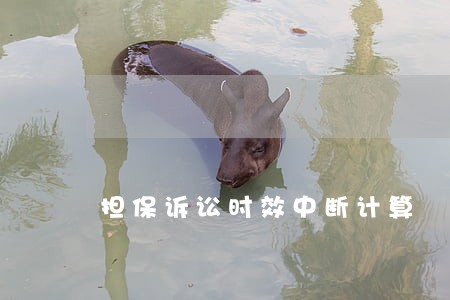 担保诉讼时效中断计算 担保诉讼时效中断计算
