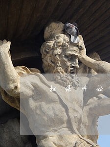 担保诉讼是什么企业