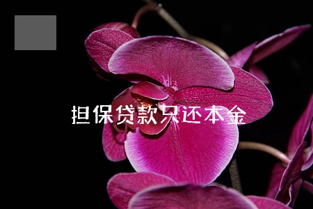 担保贷款只还本金 担保贷款只还本金