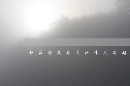 担保贷款期间担保人逾期 担保贷款期间担保人逾期