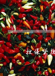 担保贷款能逾期吗 担保贷款能逾期吗