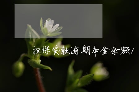 担保贷款逾期本金余额100 担保贷款逾期本金余额100