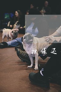 担保还不出法院查封企业 担保还不出法院查封企业