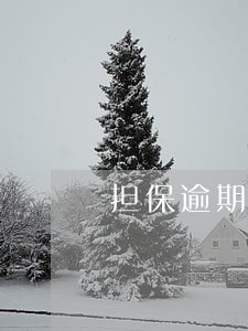 担保逾期信用不良 担保逾期信用不良