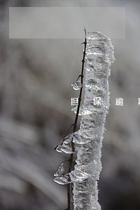 担保逾期公积金贷款 担保逾期公积金贷款