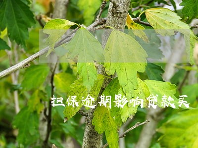 担保逾期影响贷款买 担保逾期影响贷款买