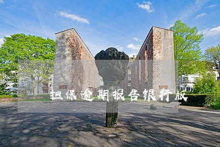担保逾期报告银行版 担保逾期报告银行版