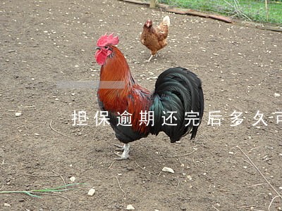 担保逾期还完后多久可以贷款 担保逾期还完后多久可以贷款