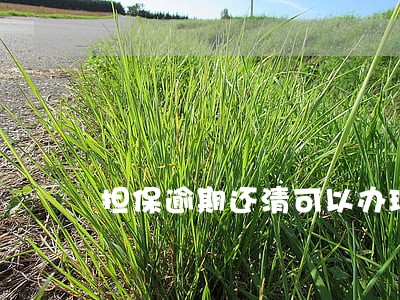 担保逾期还清可以办理房贷吗6 担保逾期还清可以办理房贷吗6