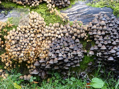 担心诉讼时效已过 担心诉讼时效已过