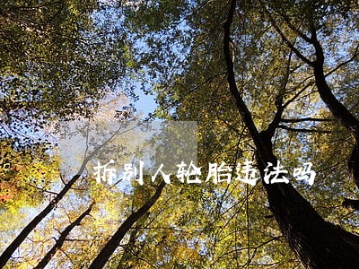 拆别人轮胎违法吗 拆别人轮胎违法吗