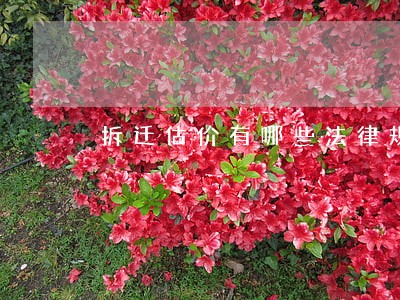 拆迁估价有哪些法律规定 拆迁估价有哪些法律规定