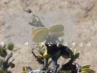 拆迁办公室法律咨询 拆迁办公室法律咨询