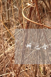 拆迁合同诉讼时效