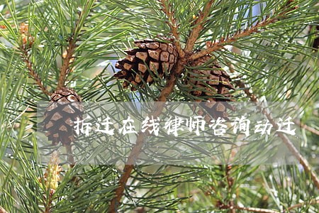 拆迁在线律师咨询动迁 拆迁在线律师咨询动迁