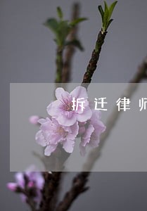 拆迁律师咨询业务 拆迁律师咨询业务