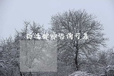 拆迁律师咨询可靠 拆迁律师咨询可靠