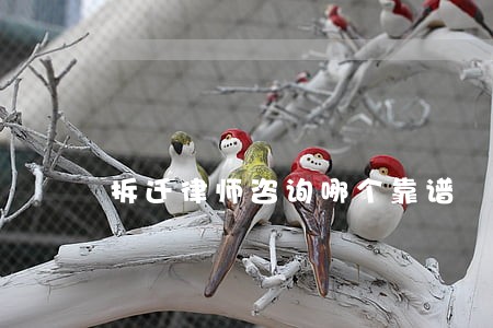 拆迁律师咨询哪个靠谱 拆迁律师咨询哪个靠谱