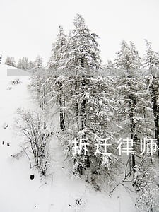 拆迁律师咨询哪些好办 拆迁律师咨询哪些好办
