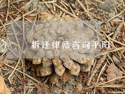拆迁律师咨询平阳 拆迁律师咨询平阳